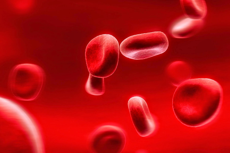 anemija